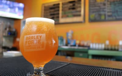 Your Guide to Beer Blogging