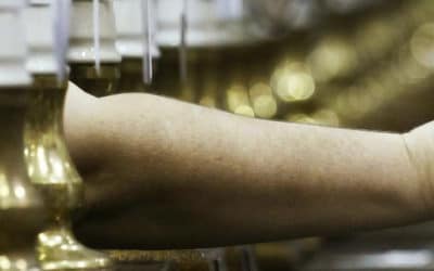 CAMRA names its top 16 pubs