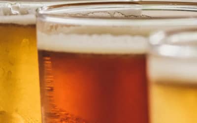 Research shows natural ingredients in beer matter to 88% of consumers