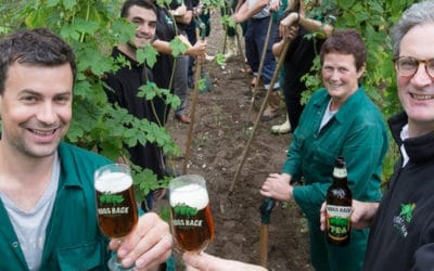 Hogs Back Brewery – as seen on TV