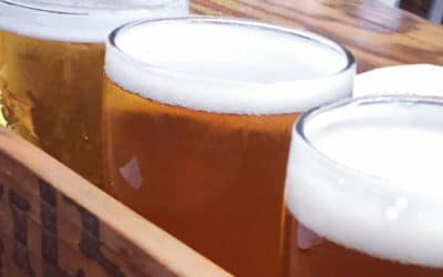 Beer sales increase
