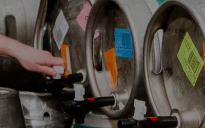 CAMRA members cast their vote on the organisation’s future