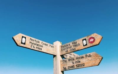 The Tale of an Ale Trail