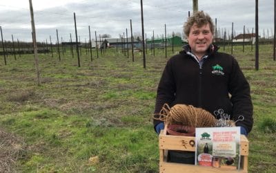 Hogs Back Brewery to bring a ‘bit of heaven’ to pub gardens