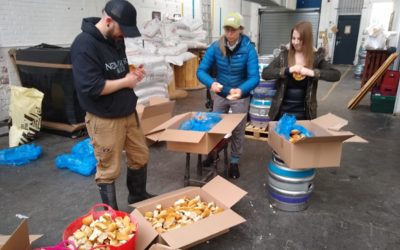 Nomadic Beers & Bagel Nash Brew Surplus Bagel Beer